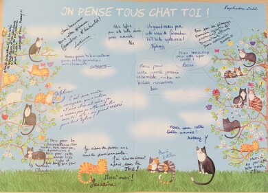 Message (remerciements)